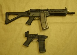 SIG556P